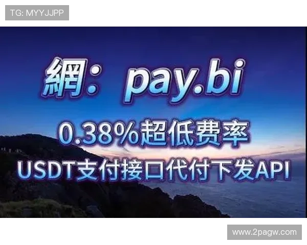 探索USDT代付平台的优势与应用场景