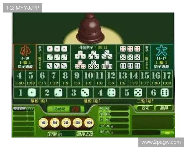 揭秘澳门赌场线上发牌流程视频:全方位解析游戏规则与技巧